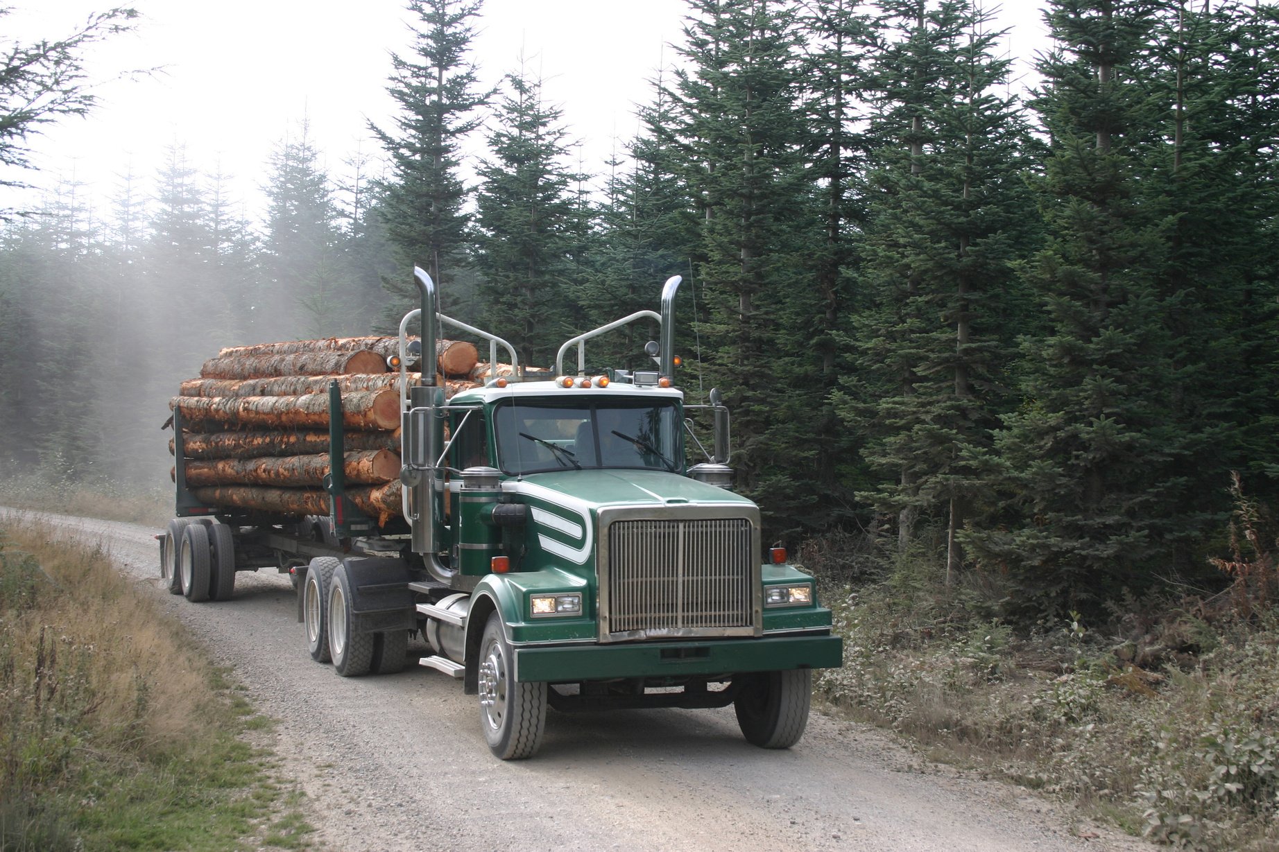 Logging Truck